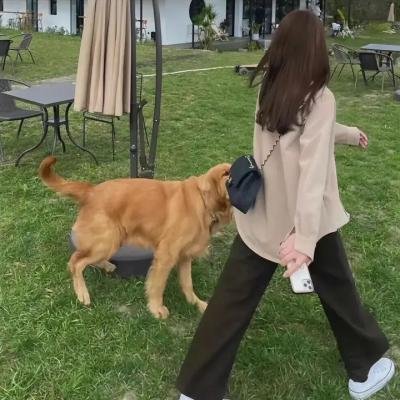 不情愿的英雄
